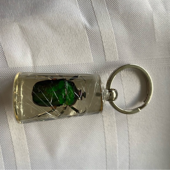 Green rose chafer beetle Keychain with Black Box - Father’s Day gift - Picture 2 of 5